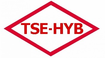 tse-hyb document